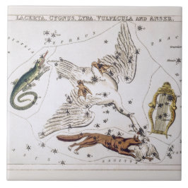 Mapa Astronômico Antigo de Lacerta, Cygnus, Lyra