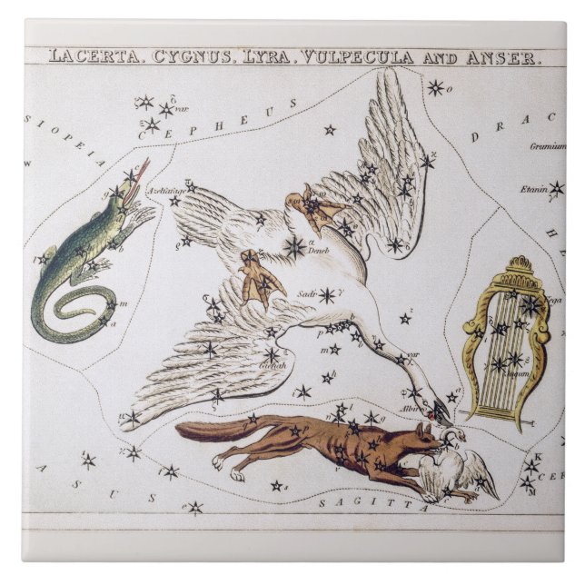 Mapa Astronômico Antigo de Lacerta, Cygnus, Lyra (Frente)