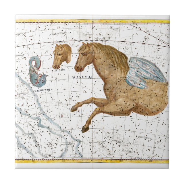 Mapa Celestial Pegasus (Frente)