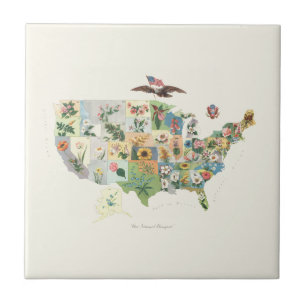 Mapa da flor dos Estados Unidos - nosso buquê