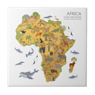 Mapa da flora & da fauna de África