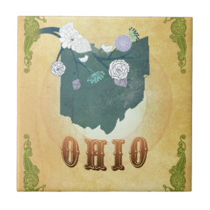 Mapa de Ohio com pássaros bonitos