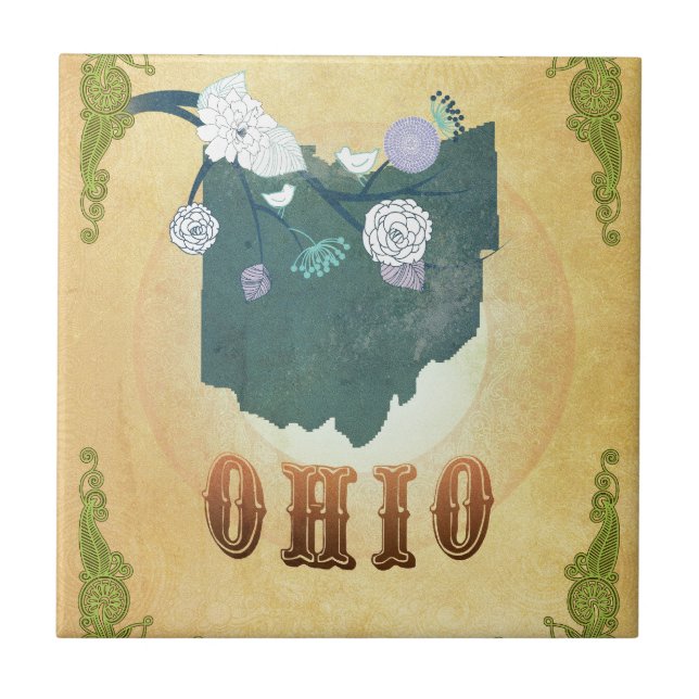 Mapa de Ohio com pássaros bonitos (Frente)