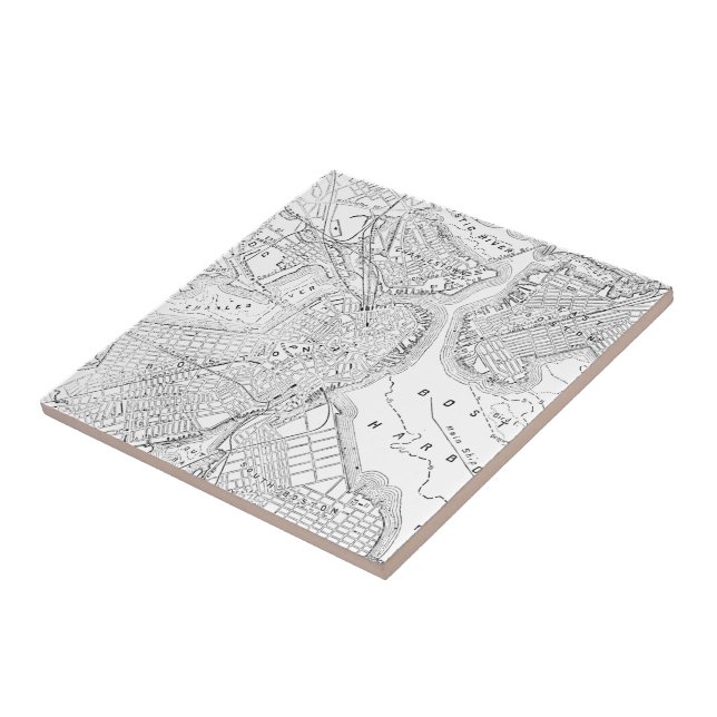 Mapa do vintage de Boston (1878) (Lateral)