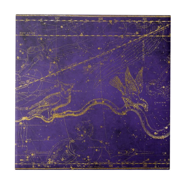 Mapa Estelar Roxo e Dourado Ilustrado Vintage (Frente)