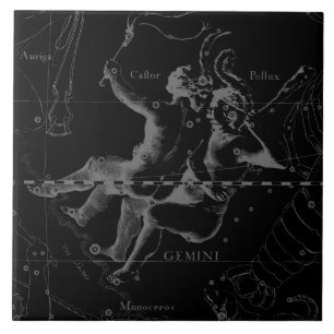 Mapa Hevelius 1690 da constelação dos Gêmeos no