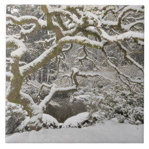 Mapa japonês coberto de neve