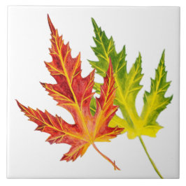 Mapeamento de prata em um Azulejo cerâmico