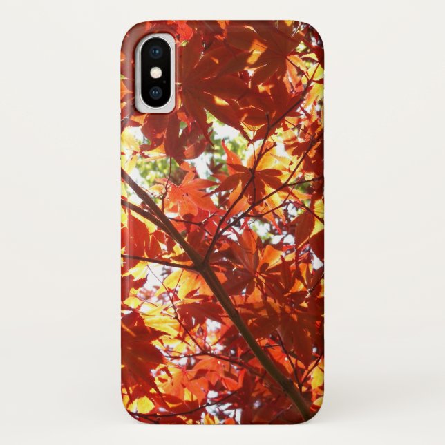 Mapeamento Japonês no Sol (Verso)