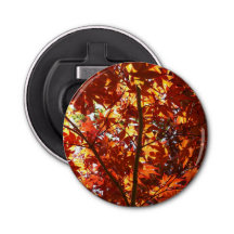 Mapeamento Japonês no Sol