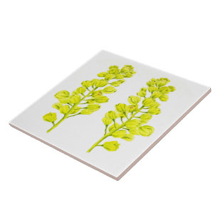 'Mapeamentos de Feliz' num Azulejo cerâmico (II)