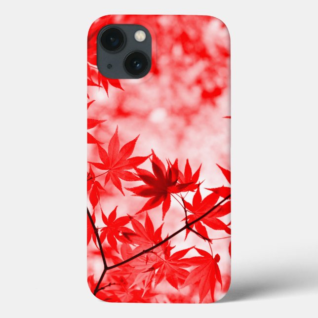 Maple, Autumn, Folhas (Verso)