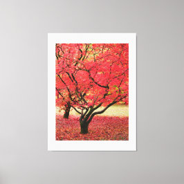 Maple Trees Canvas Print