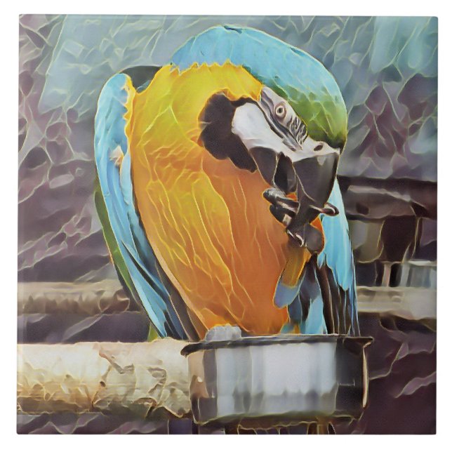 MÁQUIA CUTA (Frente)