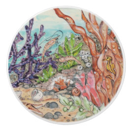 Mar Costeiro, Cavalo-do-mar, Camarão-Camarão, Ocea