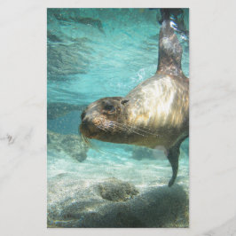 Mar curioso Galápagos debaixo de água