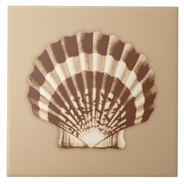 Mar Shell - marrom e bege (Frente)