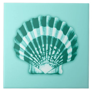 Mar Shell - turquesa e Aqua