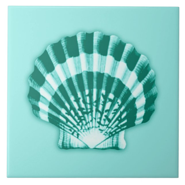 Mar Shell - turquesa e Aqua (Frente)