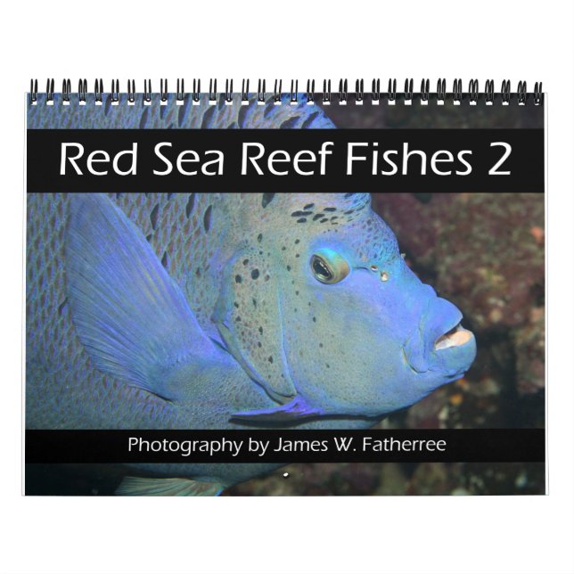 Mar Vermelho Recife Fishes 2 Calendário (Capa)