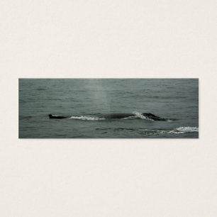 Marcador da baleia de Humpback