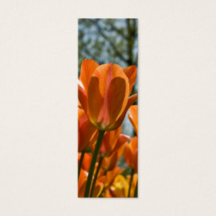 Marcador da tulipa