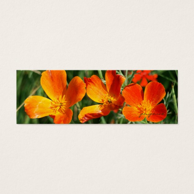 marcador de 3 irmãs (Frente)