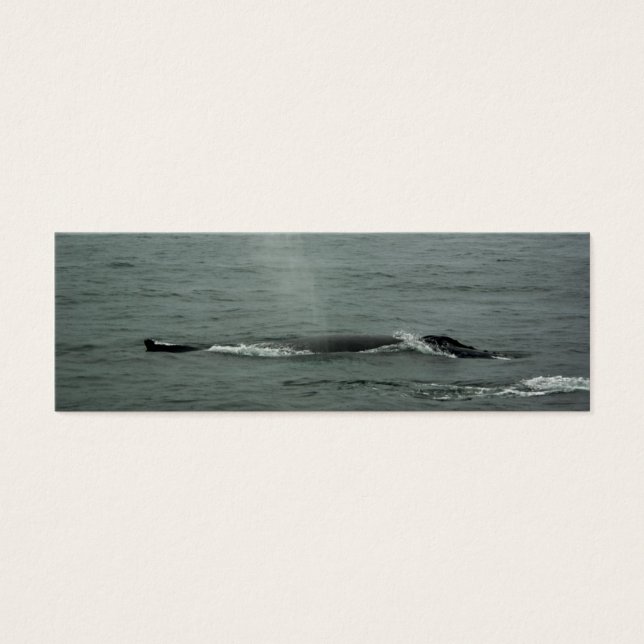 Marcador de Baleia Humpback (Frente)