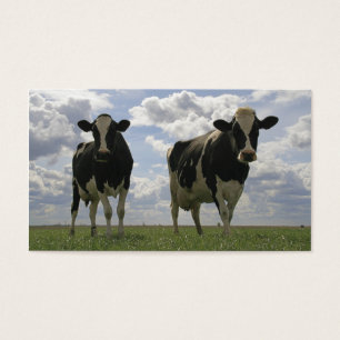 Marcador de duas vacas do frisão