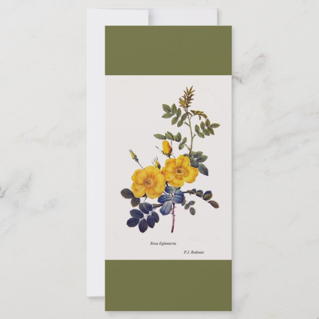 Marcador de flores de rosa amarela-botânica vítrea (Frente)