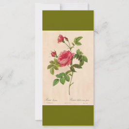 Marcador de flores de rosa cor-de-rosa de arte bot