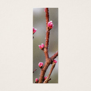Marcador de Redbud - perfil magro