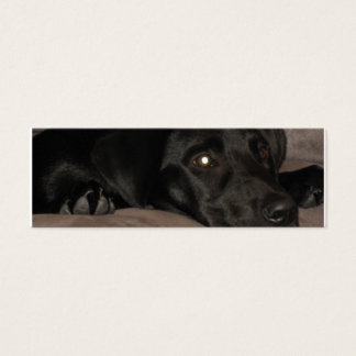 Marcador de Retriever Preto Labrador