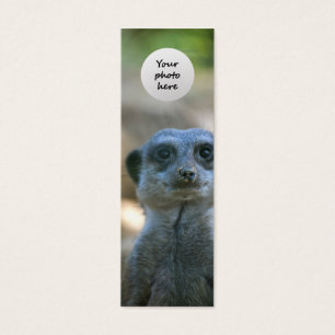 Marcador Personalizado do Meerkat