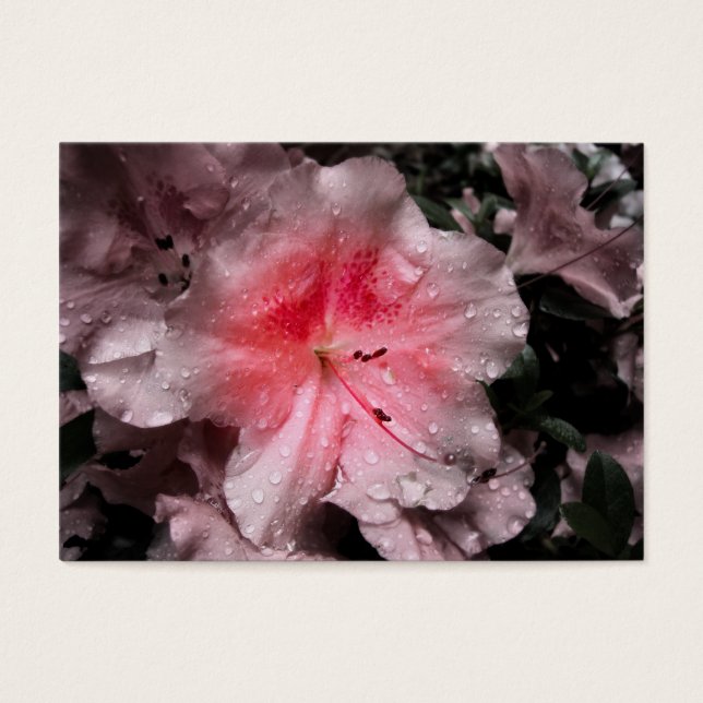 Marcadores de Brilho Interno (Frente)