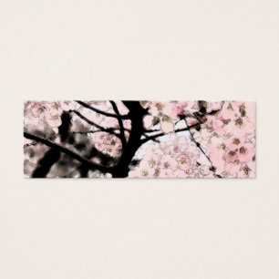 Marcar Cherry Blossom Editado