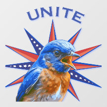 Marcha de janela UNITE Bluebird (adesivo na frente
