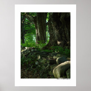 Março do poster dos bordos