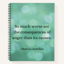 Marcus Aurelius: Conquiste a raiva, encontre a paz