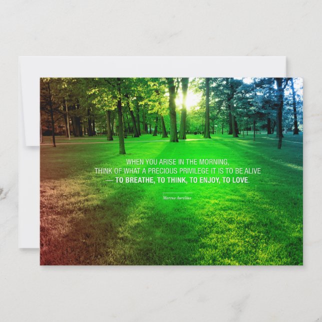 Marcus Aurelius Stoicismo Aproveita A Vida, Estand (Frente)