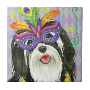 Mardi Gras Havanese
