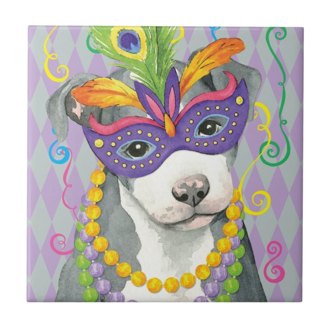 Mardi Gras Pit Bull Terrier (Frente)