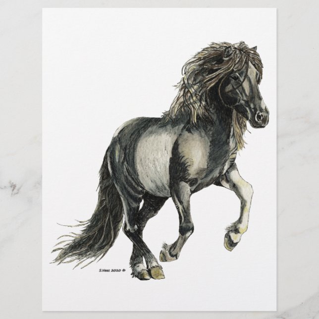 Mare Brana islandês (Frente)