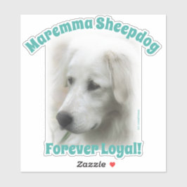 Maremma sheepdog Para sempre Um adesivo Real Trans
