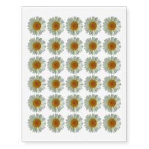 Margarida 30 branca floral