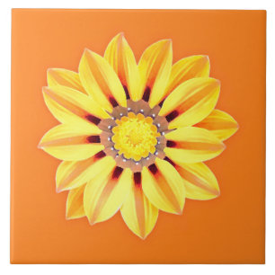 Margarida Africana/Gazânia - Laranja e Amarelo