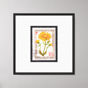 Margarida Amarela Estreita a Canvas com Quadro
