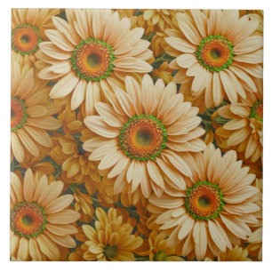 Margarida amarela floral amarela