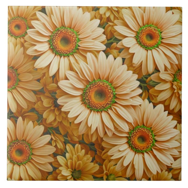 Margarida amarela floral amarela (Frente)