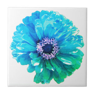 Margarida Azul Teal